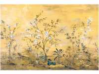 Komar Fototapete Vlies Mandarin 368 x 248 cm