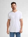 Petrol Industries T-Shirt 2-er Pack Basic-T-Shirt V-Ausschnitt