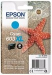 Epson Original Epson 603XL Cyan (C13T03A24010) Tintenpatrone