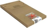 Epson Tintenpatrone