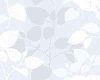 d-c-fix Wandfolie d-c-fix Folie Static Premium Amena 45 cm x 1,5 m, Blumen