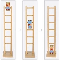 goki Motorikbrett Klettermax Climbi auf der Leiter, Holz, (Set, 3-tlg), Klettermax
