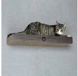 Canadian Cat Company Kratzpappe Cloud - dunkelgrau, (Kratzbrett mit verdeckter
