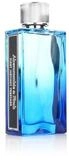 Abercrombie & Fitch Eau de Toilette First Instinct Together For Him EDT. 100ml Spray