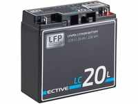 ECTIVE ECTIVE 12V 20Ah Lithium Batterie LiFePO4 für Wohnmobil Batterie, (12 V...