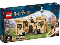 LEGO Harry Potter - Hogwarts: Erste Flugstunde (76395)