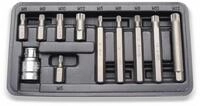 BGS technic Bit-Set BGS TECHNIC Schraubendreher-Bitsatz, Innenvielzahn, 11 teilig