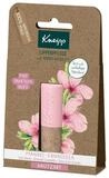 Kneipp Gesichtspflege-Set