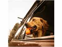 West Paw Hunde-Ballschleuder Hundespielzeug mit Zogoflex Tux Orange L