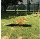 PawHut Agility-H&uuml;rde Hundewippe Spielzeug f&uuml;r Haustiere, Tanne, Haustier-Wipptier