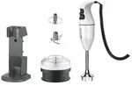 ESGE-Zauberstab Stabmixer Zauberstab 120 W EK1200 weiss, Zauberstab, Edelstahl...