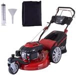 G&uuml;de Benzinrasenm&auml;her Big Wheeler 554.1 R TRIKE, 55 cm Schnittbreite, 2IN1: M&auml;hen