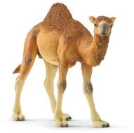 Schleich&reg; Actionfigur Wild Life Dromedar, Spielfigur