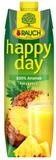 Rauch Fruchts&auml;fte Saft, Rauch Happy Day Ananassaft aus Ananaskonzentrat Fruchtsaft