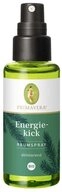 Primavera Life GmbH Raumduft Energiekick - Raumspray 50ml