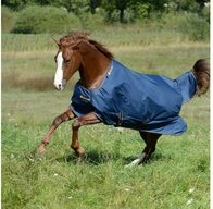 Bucas Pferde-Thermodecke Bucas Irish Turnout Medium 150g Classic - navy/gold