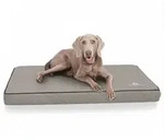 Knuffelwuff Hundematte Juna, Orthop&auml;disch grau 84 cm x 136 cm