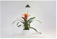Venso EcoSolutions Pflanzenlampe Venso LED-Pflanzenlampe SUNLiTE LED fest...