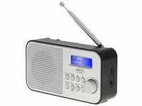 Camry CR 1179 Digitalradio (DAB) (tragbares Radio, DAB/DAB+ Funktion,