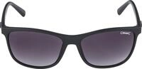 Alpina Sports Sonnenbrille Alpina Jaida Sportbrille