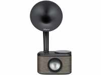 Sangean CP-100D Digitaler Bluetooth-Lautsprecher mit DAB+ und FM ! Digitalradio...