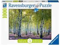 Ravensburger Puzzle Birkenwald, 1000 Puzzleteile, FSC® - schützt Wald -...