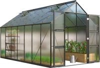 Vitavia Gew&auml;chshaus Domus 11500, BxTxH: 257 x 449 x 253,9 cm, 4 mm...