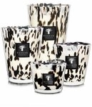 Baobab Duftkerze Max One Black Pearls (1-tlg)