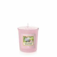 Yankee Candle Duftkerze Sunny Daydream Duftkerze 49 g