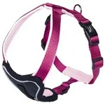Nobby Hunde-Erziehungsgeschirr Nobby Komfort Geschirr "Classic Preno" 45-50cm |...