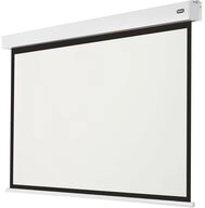 Celexon Professional Plus Motorleinwand (schwarze R&uuml;ckseite)