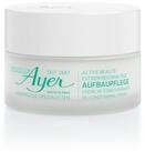 Ayer Tagescreme AYER Repair Care Active Beaut&eacute; Cream 50 ml