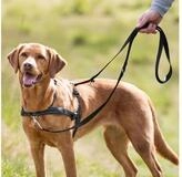 TRIXIE Hunde-Erziehungsgeschirr Trainingsgeschirr Lead'n'Walk Soft - schwarz -