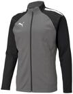 PUMA Trainingsjacke teamLIGA Poly grau Herren