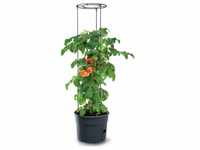 Prosperplast Pflanzkübel Tomate Grower 39,2x31,5-153cm anthrazit (ZA1391)