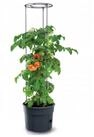 Prosperplast Rankhilfe Tomatentopf aus Kunststoff anthrazit