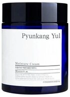 Pyunkang Yul Gesichtspflege Feuchtigkeitscreme 100ml