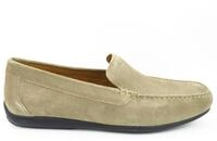 Geox U ASCANIO A - SUEDE Slipper