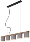 Briloner Leuchten LED Pendelleuchte 4075-054, ohne Leuchtmittel, 2700K -