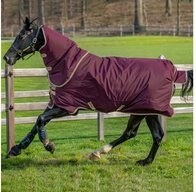 Horseware Pferde-Regendecke Horseware Amigo Hero Ripstop Plus Lite 0g -...