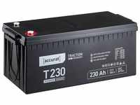 accurat Accurat Traction T230 12V GEL Batterie 230Ah Batterie, (12 V V)
