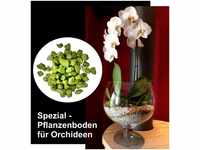 Colomi Orchideengranulat 1 l Grün