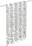 Eisl Duschvorhang Mosaik GRAU Breite 180 cm, waschbarer Antischimmel Vorhang (H&ouml;he