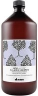 Davines Haarshampoo Davines Naturaltech Calming Shampoo 1000 ml