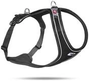 Curli Hunde-Geschirr Magnetic Belka Comfort Geschirr schwarz