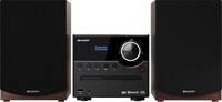 Sharp Audio-System XL-B517D Mikro 2.0 (45 W, Bluetooth)
