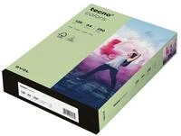 Inapa tecno Druckerpapier Rainbow / tecno Colors, Pastellfarben, Format DIN A4,...