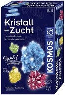Kosmos Experimentierkasten Kosmos Kristall-Zucht 657840 Experimentierkasten ab 10