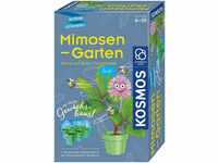 Kosmos Mimosen-Garten (65780)