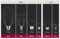 Paulmann Gl&uuml;hbirne 82010, E14, Extra-Warmwei&szlig;, Halogen / Gl&uuml;hlampe